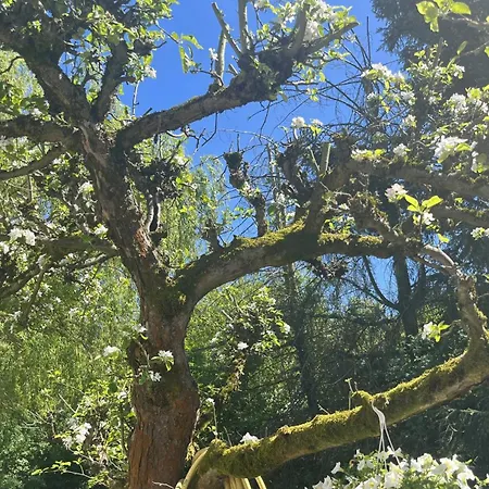 Ferienhaeuschen Landidyll Сasa de vacaciones *
